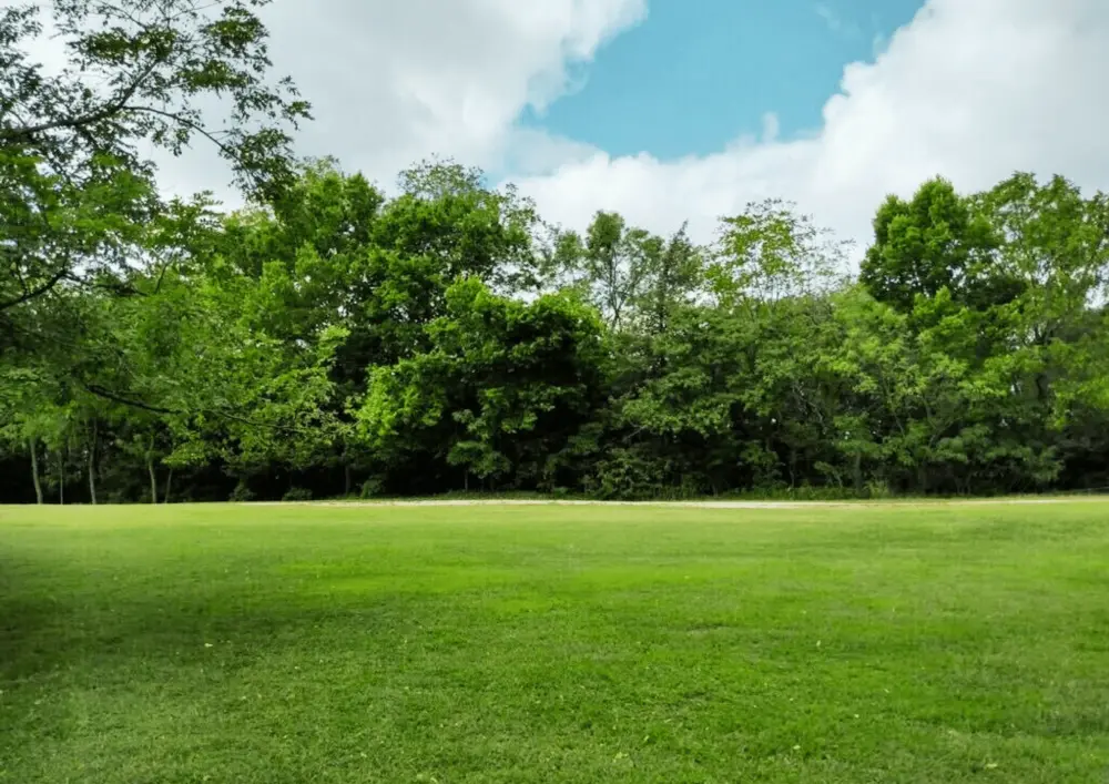 field